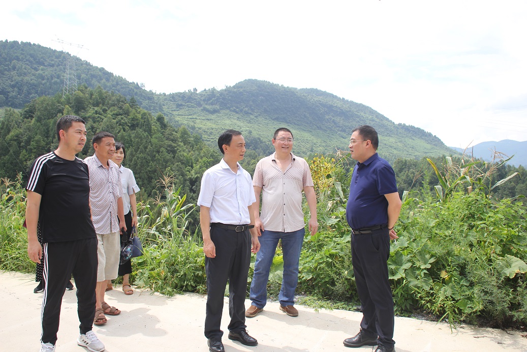 县委副书记,县长石强到汉葭街道调研督导脱贫攻坚工作